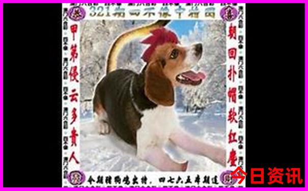 河南凉快的避暑胜地